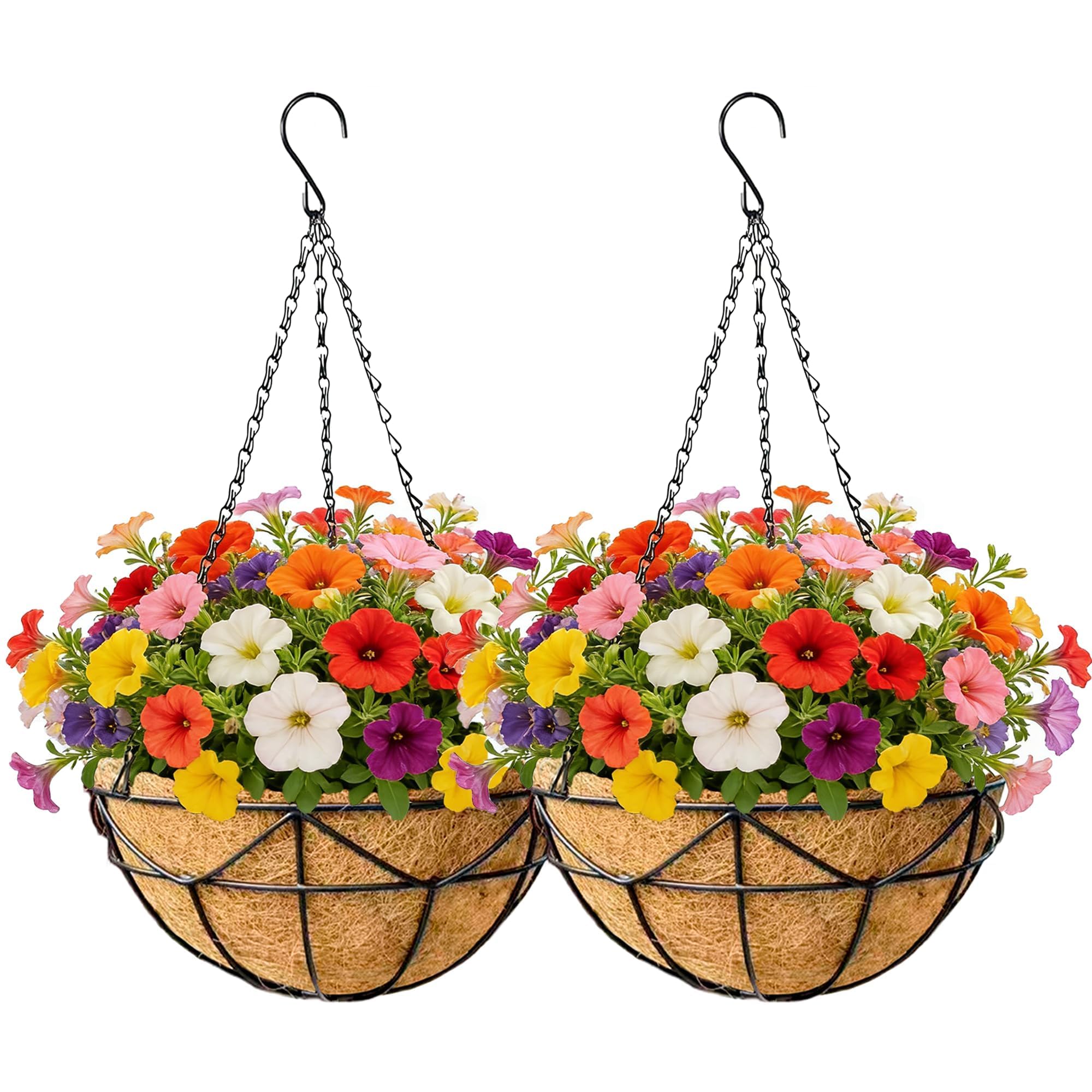 EIMQUVW 12-inch hanging planter with coconut liner front view
