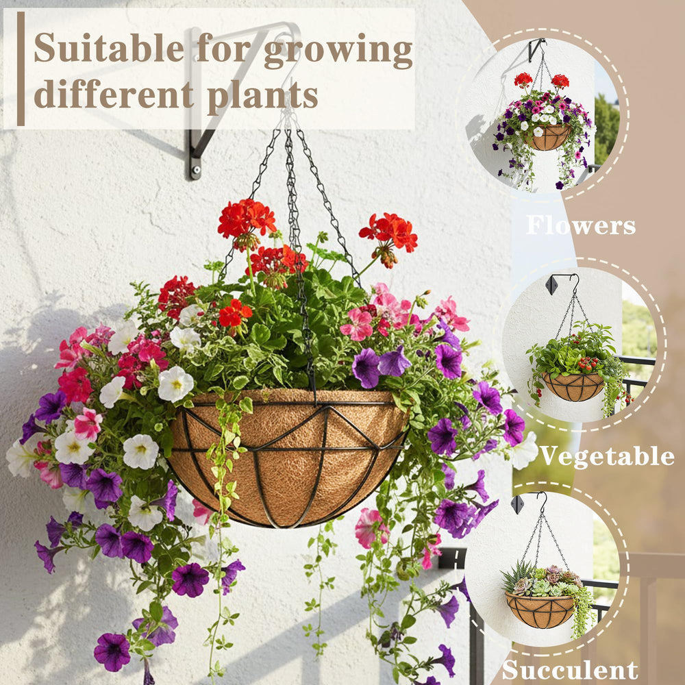 EIMQUVW hanging basket showing metal frame and chains