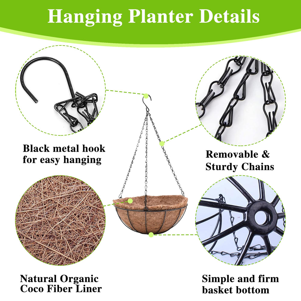 EIMQUVW hanging planters showcasing a variety of plants