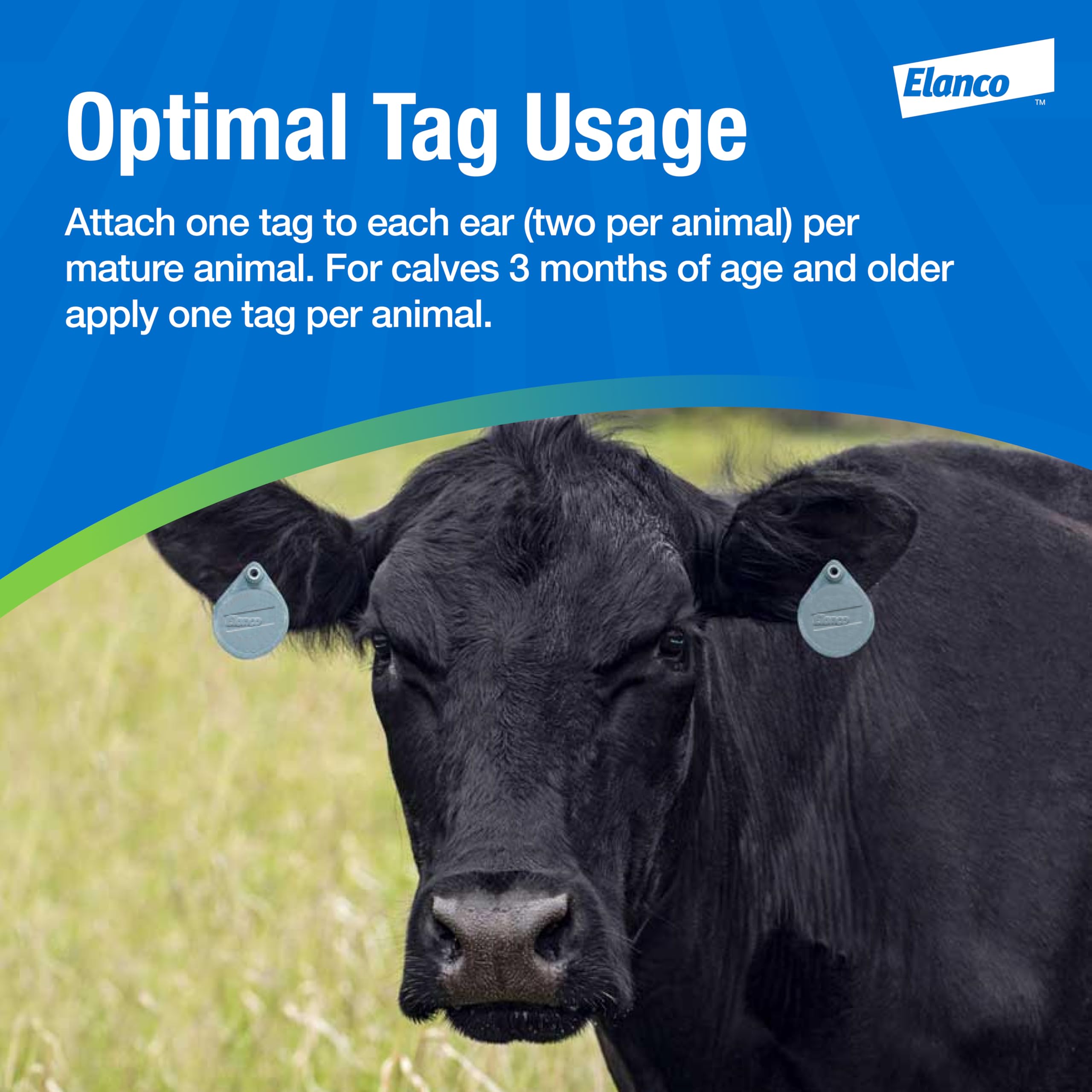 Elanco CyLence Ultra Ear Tags application process with tagger