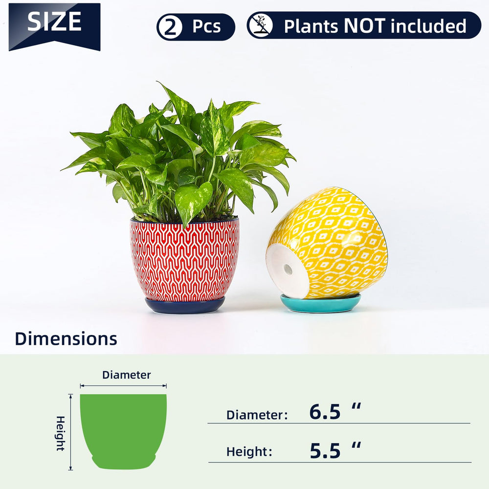 Elegant design of Selamica ceramic pot with vibrant pattern