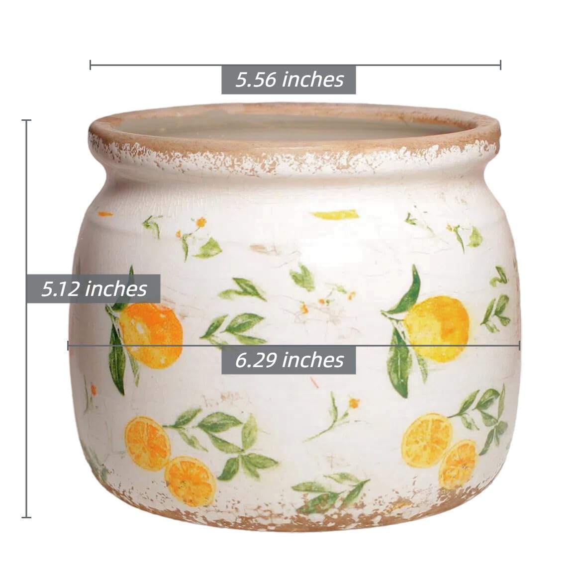 Elegant Lemon Ceramic Planter with ferns indoors