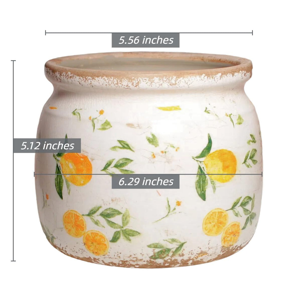 Elegant Lemon Ceramic Planter with ferns indoors
