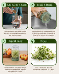 Elementi Sprouts Growing Kit packaging