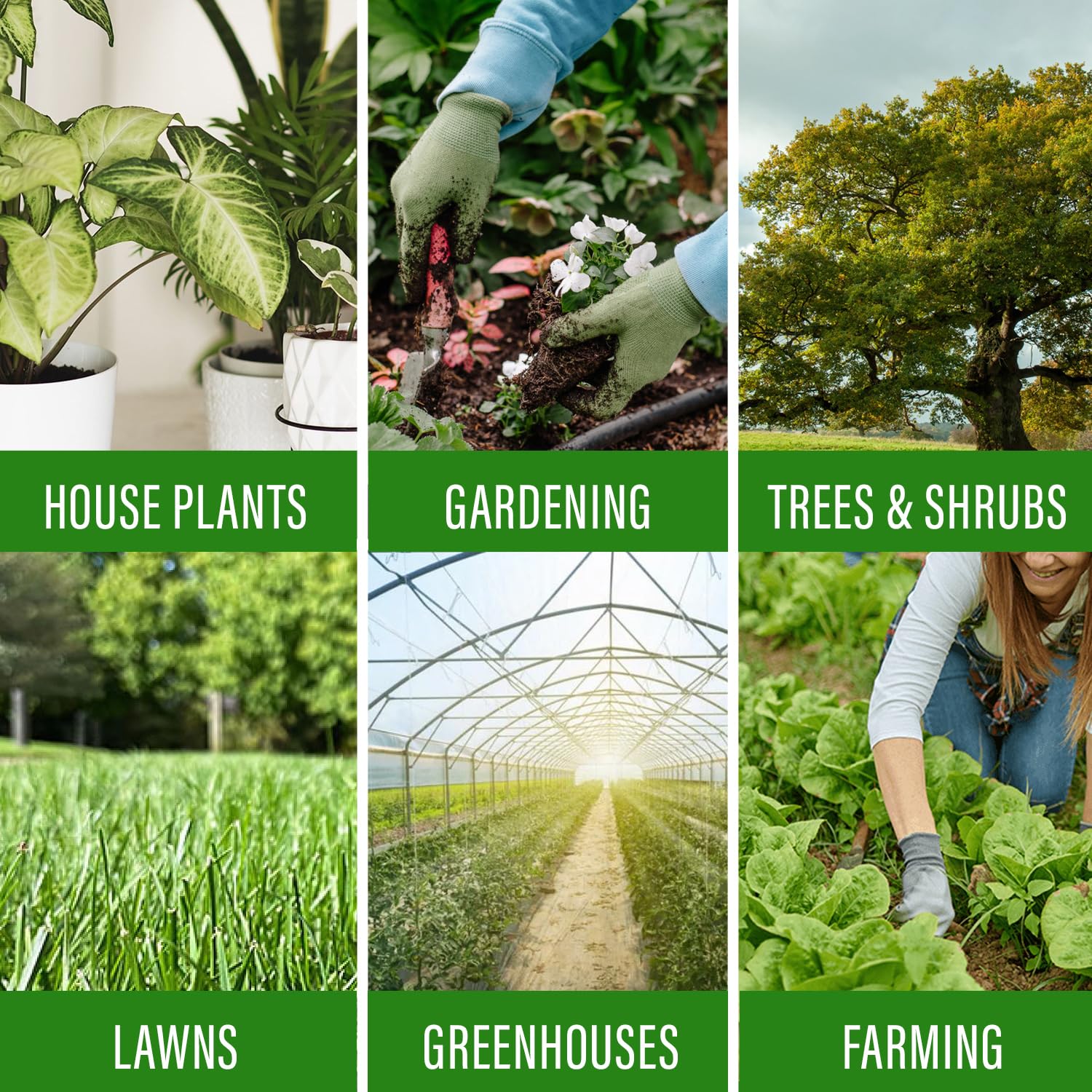 Elm Dirt Organic Fertilizer in a garden setting
