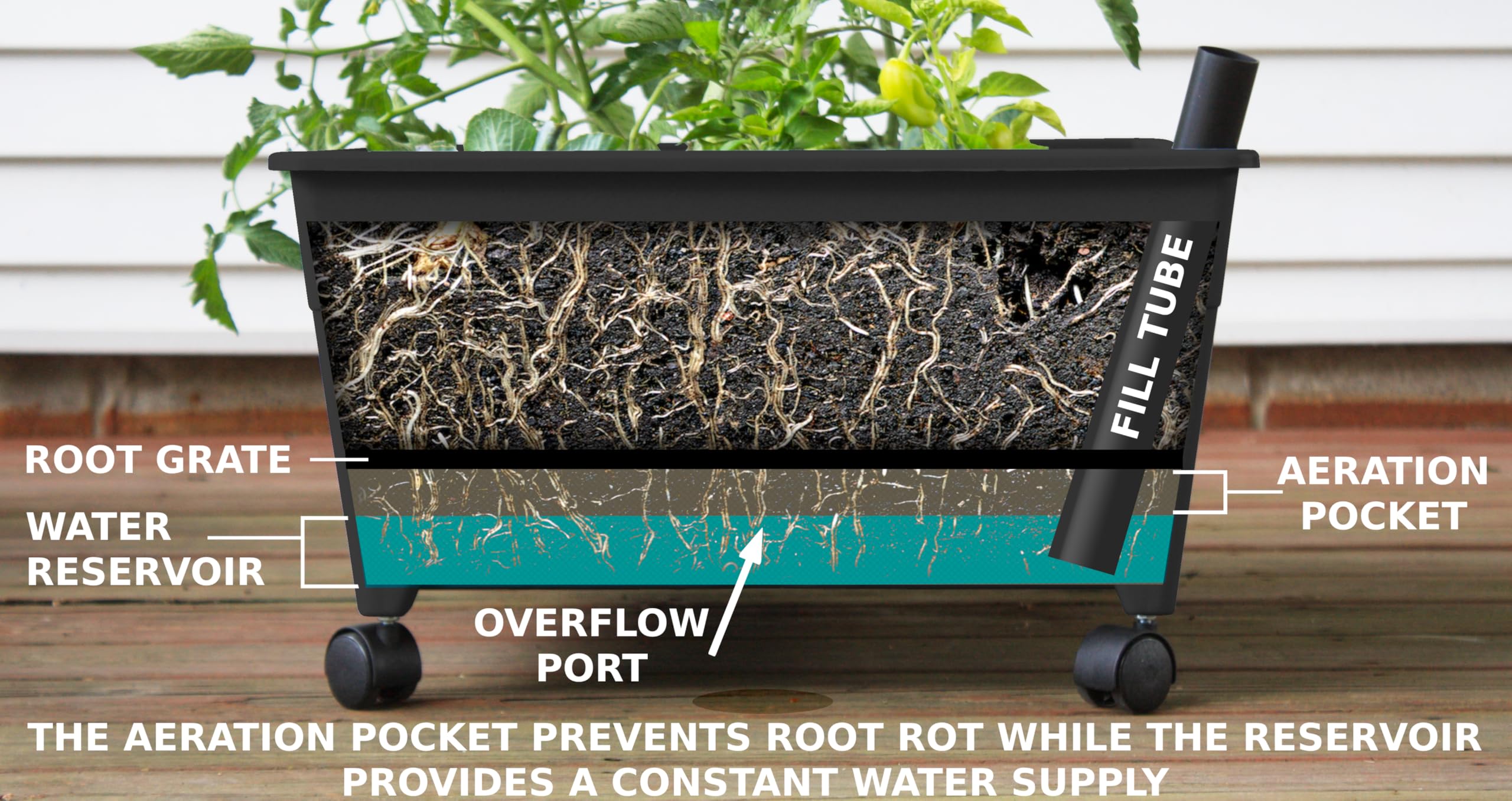 Emsco City Picker Grow Box with plants growing inside
