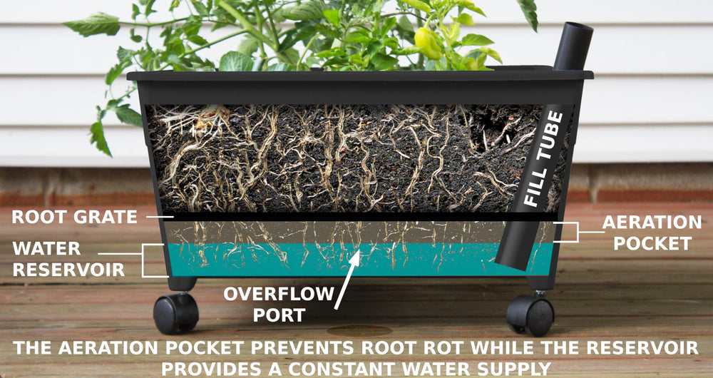 Emsco City Picker Grow Box with plants growing inside