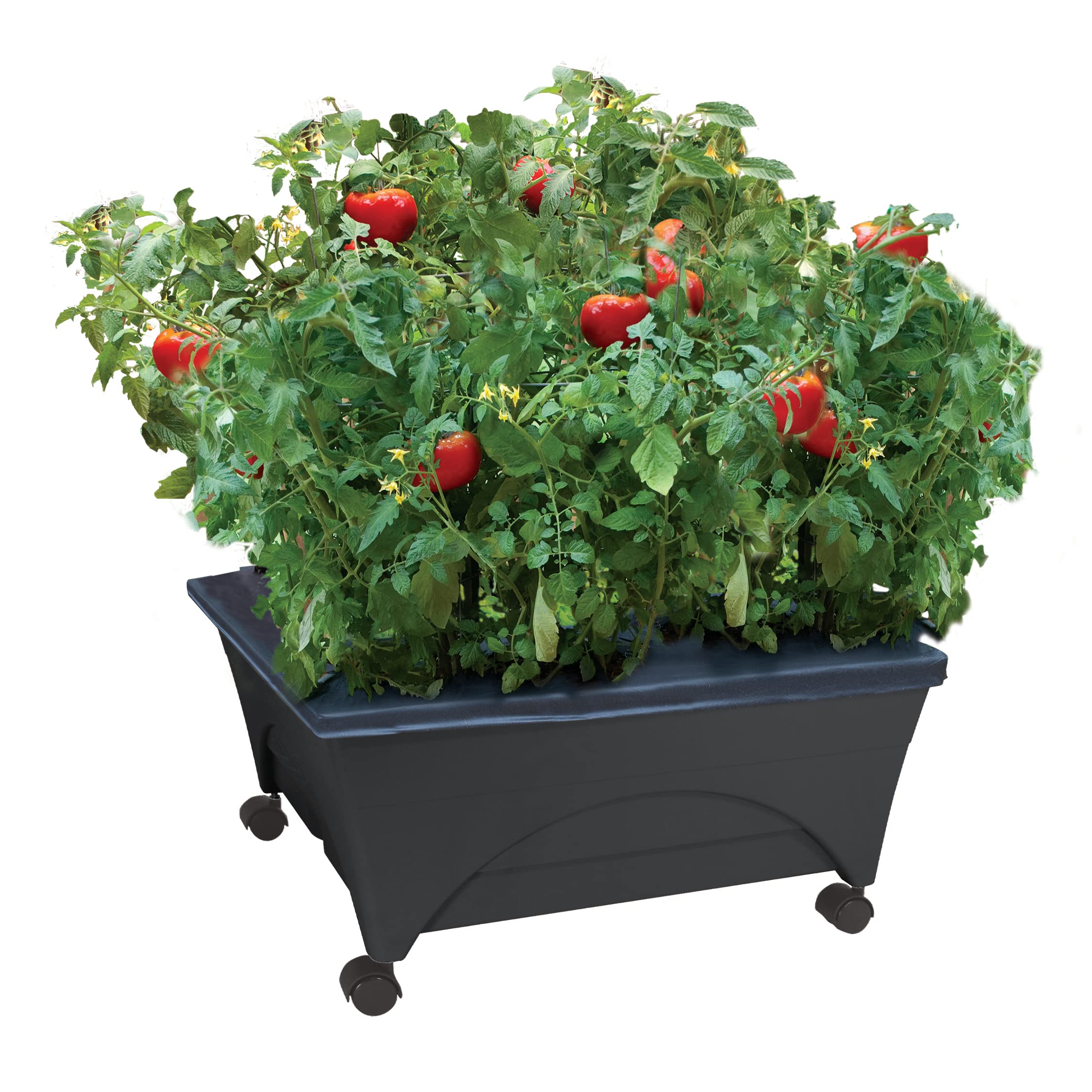 Emsco Group City Picker Grow Box in charcoal colour