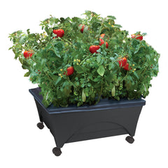 Emsco Group City Picker Grow Box in charcoal colour