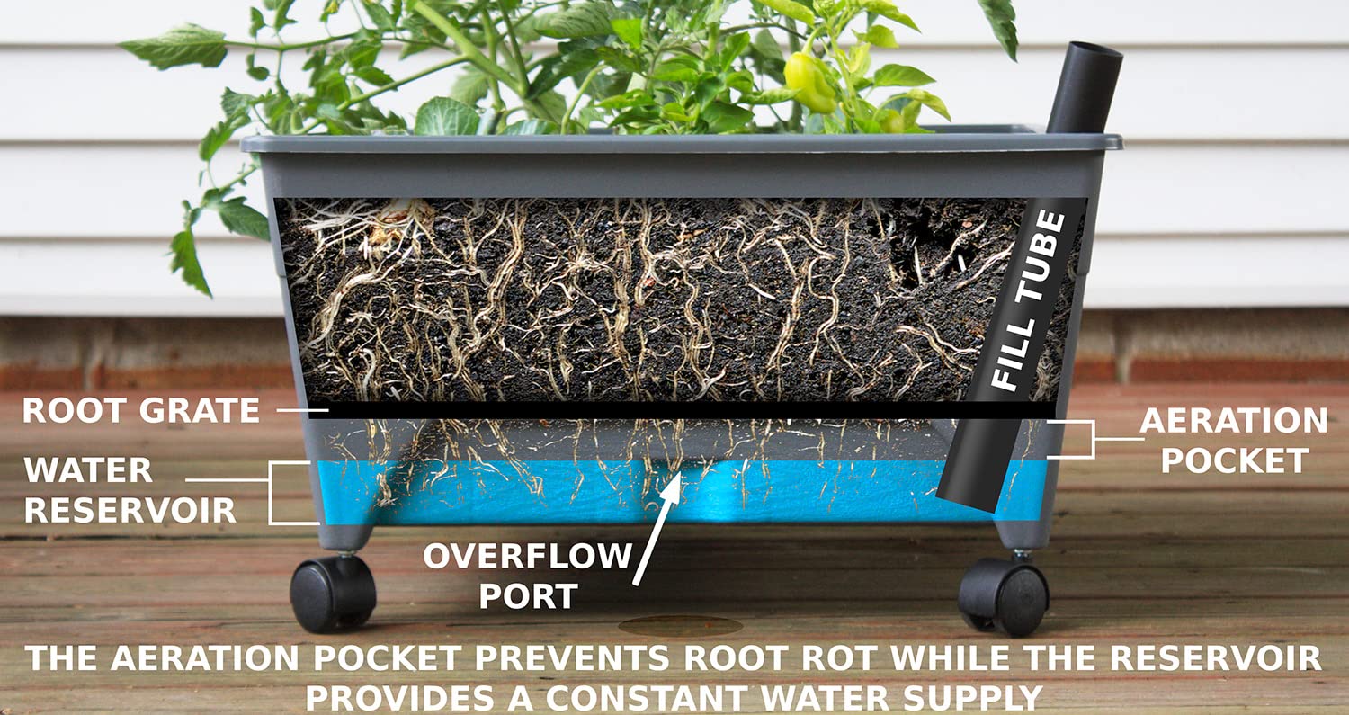 Emsco Group City Picker Raised Bed Grow Box showing water reservoir