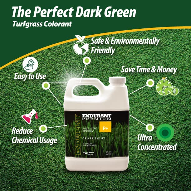 Endurant Turf Colorants applied lawn showing vibrant green