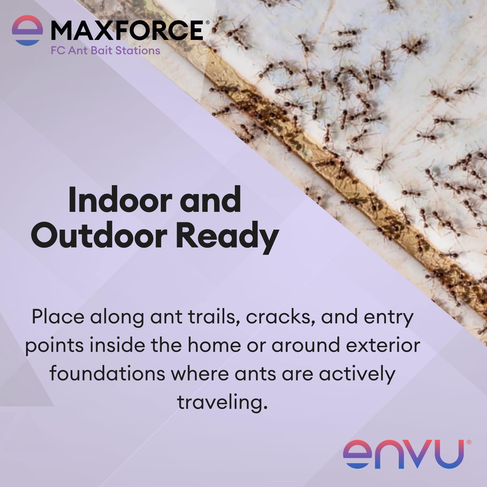 Envu Maxforce FC Ant Bait Station showing child-resistant feature