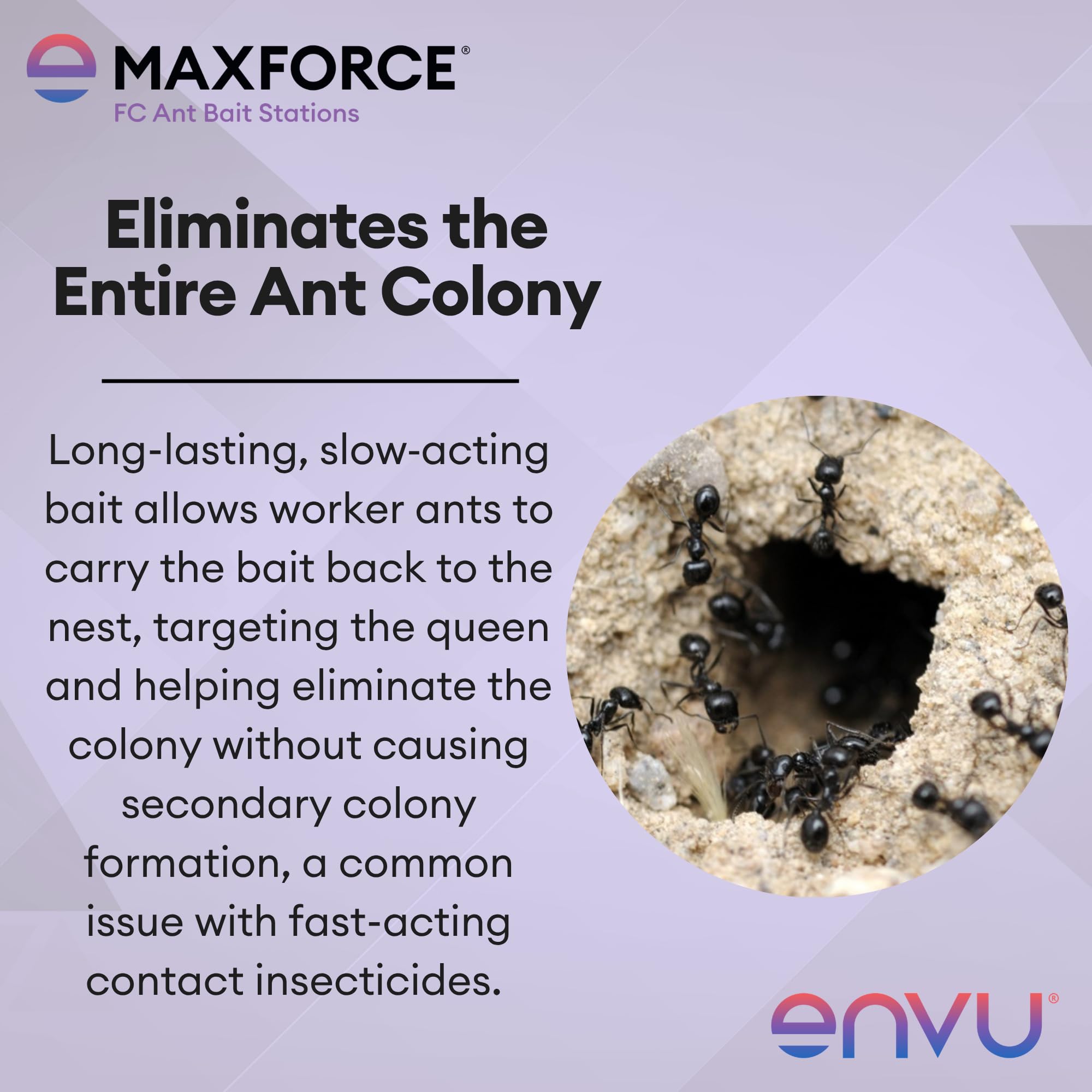 Envu Maxforce FC Ant Bait Stations clear view of individual station