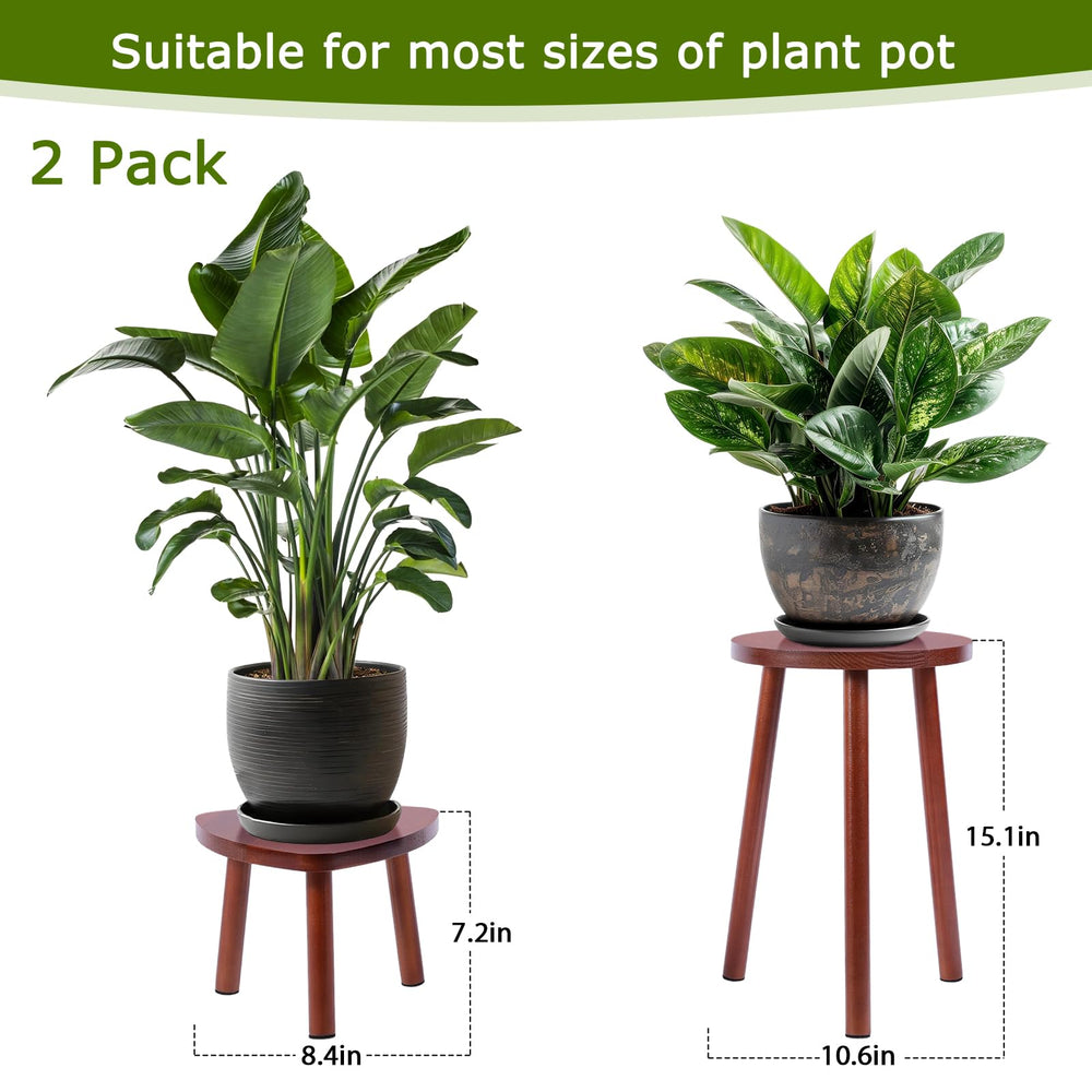 Eocogup Plant Stand 7.2 inches high with plant