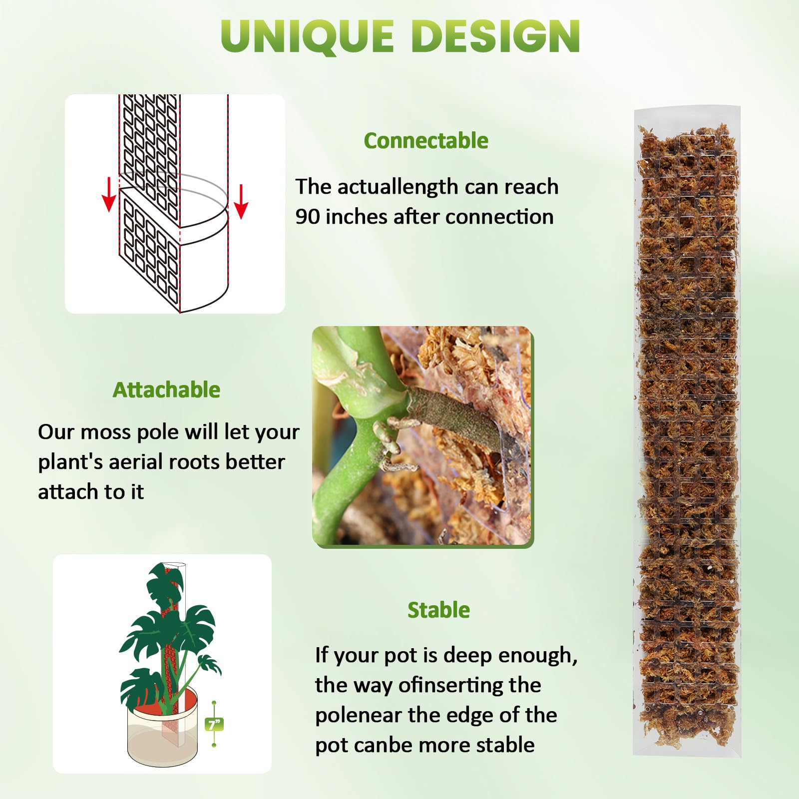 EOX moss pole assembled with sphagnum moss inside
