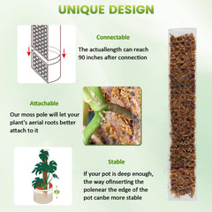 EOX moss pole assembled with sphagnum moss inside