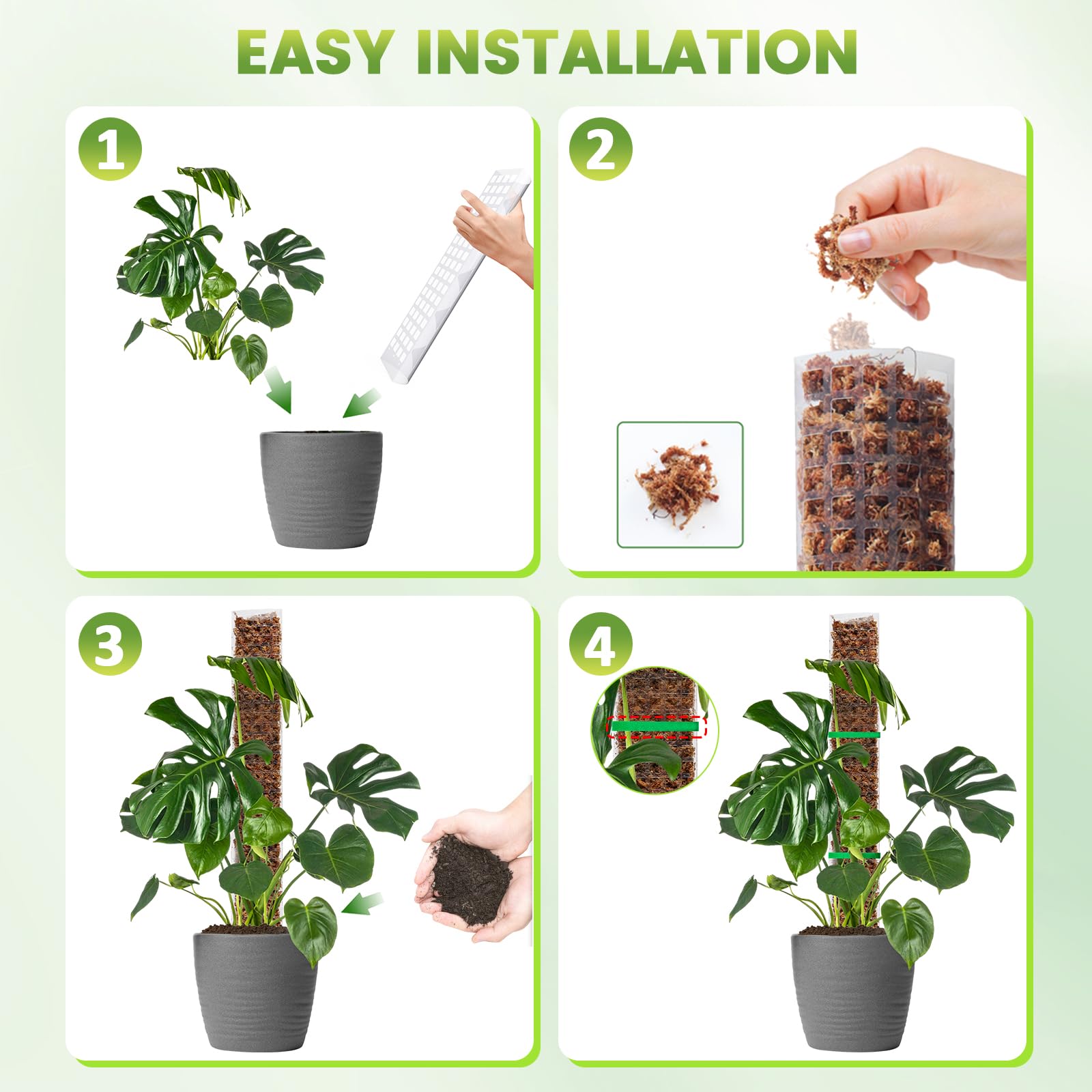 EOX moss pole in a pot with climbing plant