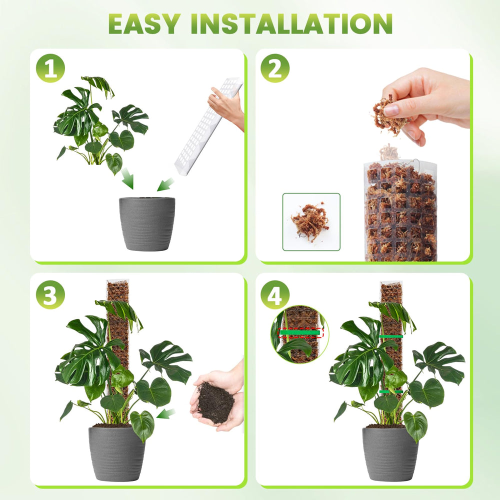 EOX moss pole in a pot with climbing plant