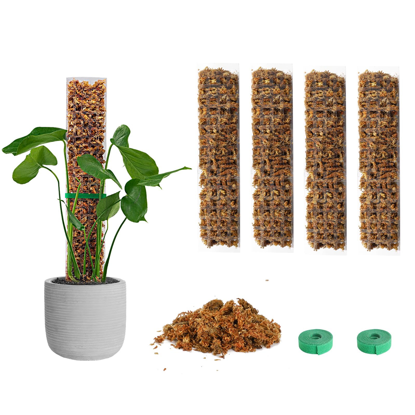 EOX moss pole kit with four clear plastic panels and sphagnum moss