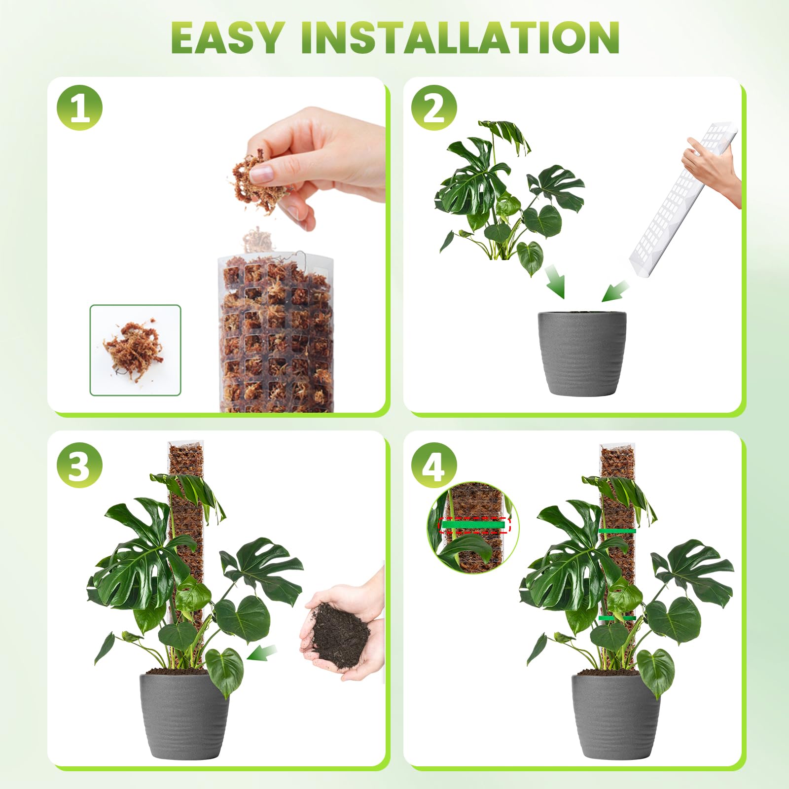 EOX moss pole supporting a Monstera plant