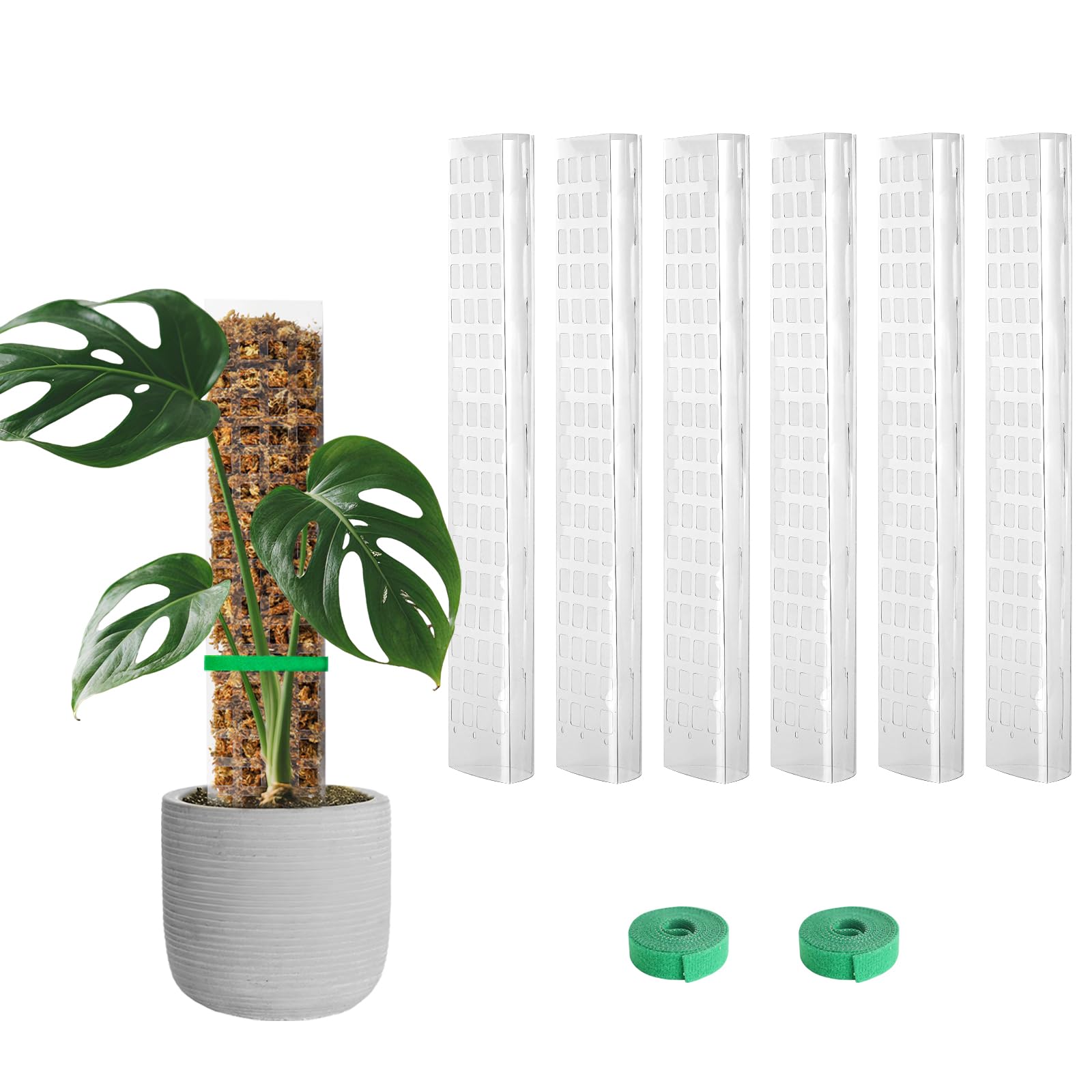 EOX Plastic Moss Pole 15-inch clear panel front view