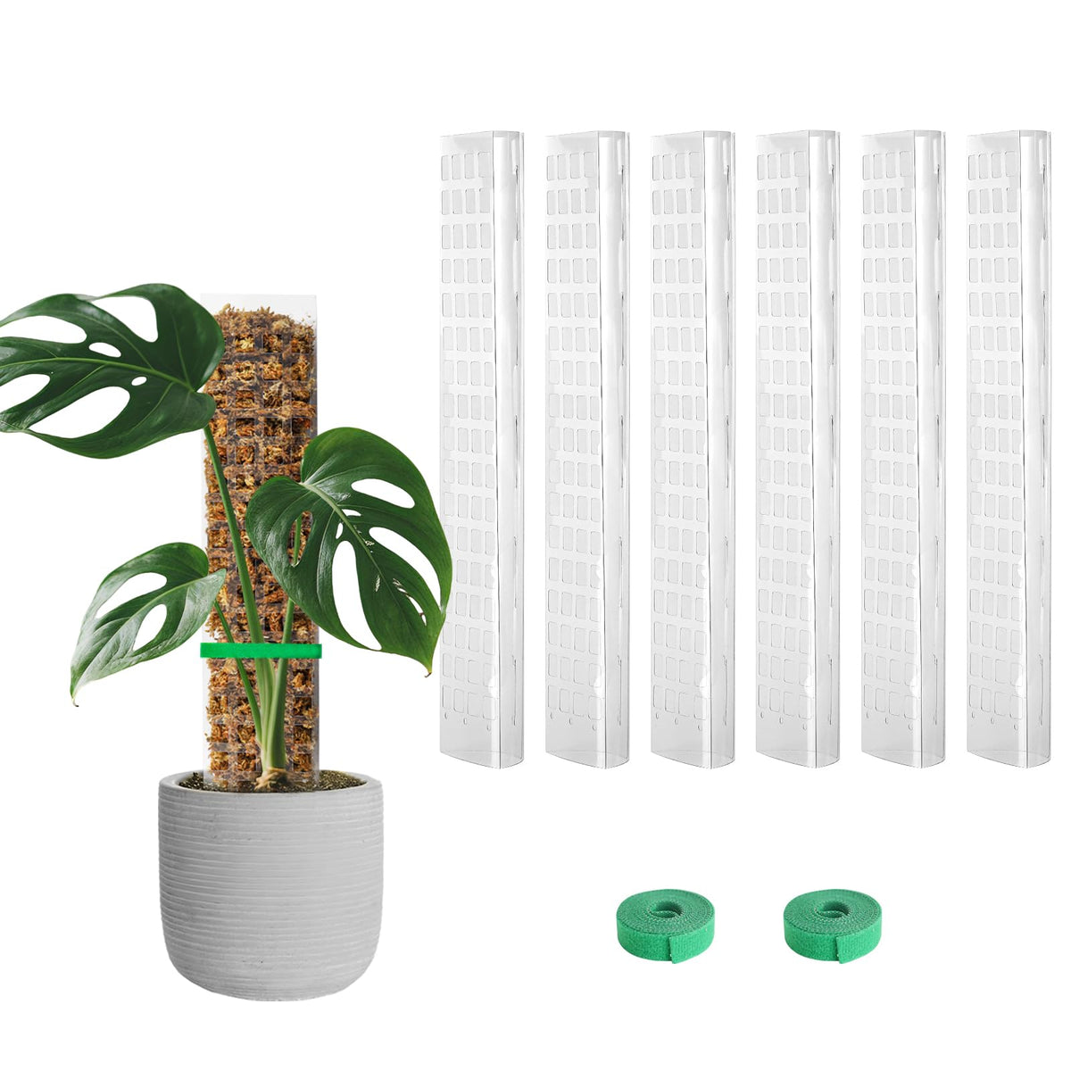 EOX Plastic Moss Pole 15-inch clear panel front view