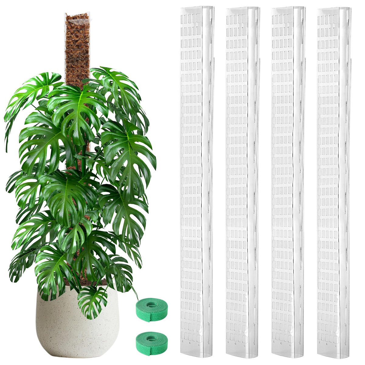 EOX Plastic Moss Pole 48-inch clear panel front view