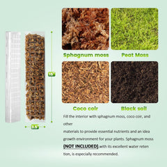 EOX Plastic Moss Pole assembled with Monstera plant
