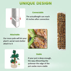 EOX Plastic Moss Pole assembled with plant