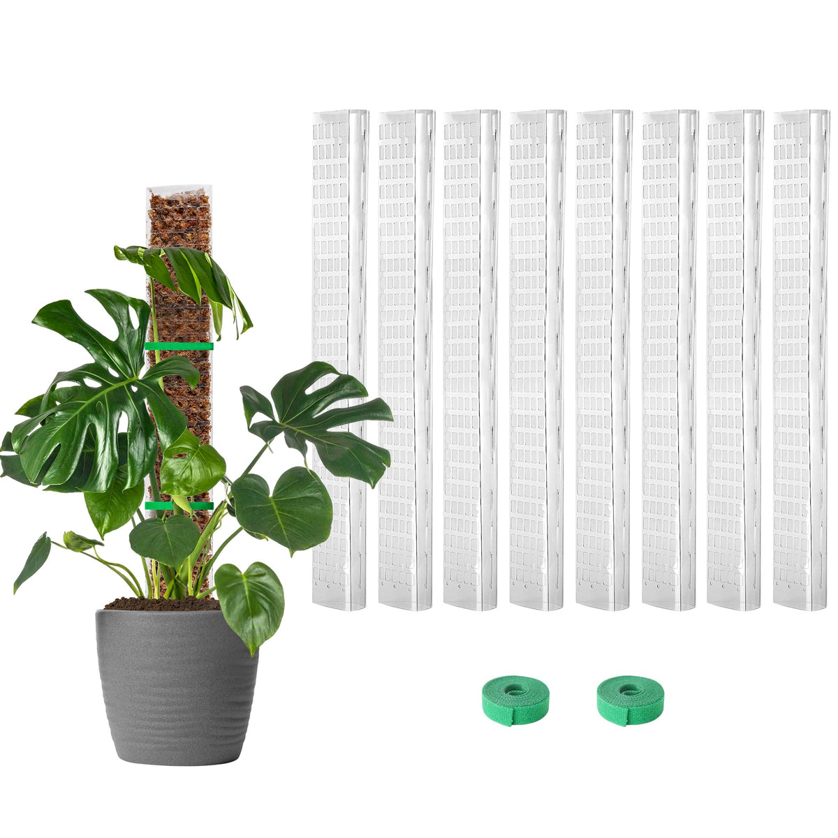 EOX Plastic Moss Pole for climbing plants, 24-inch size