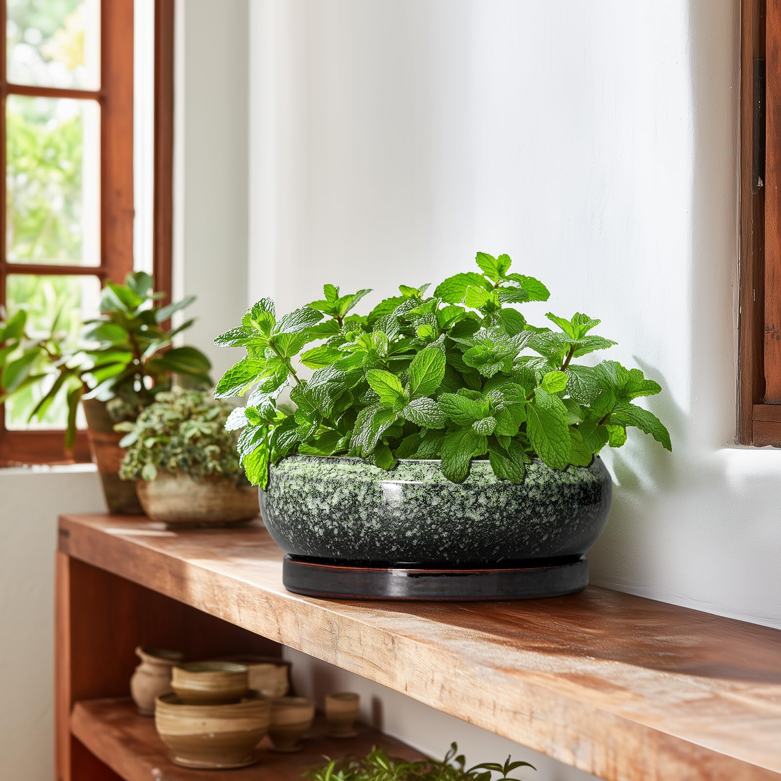 EPFamily 10 Inch bonsai pot in a home office setting