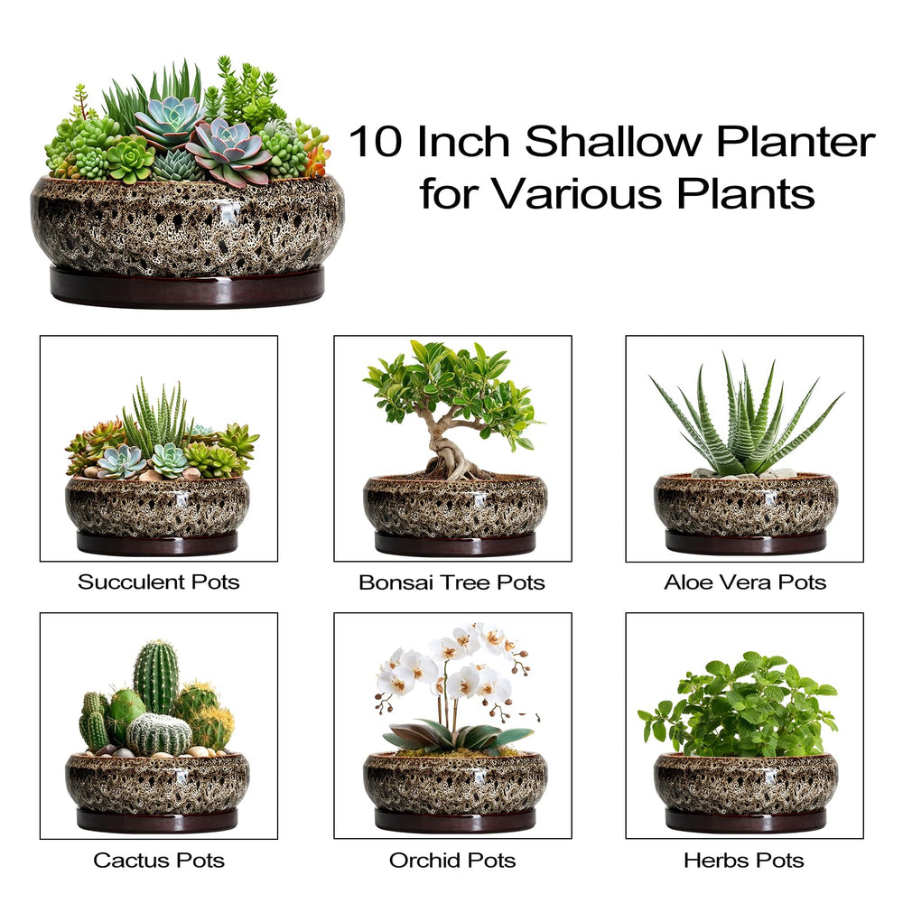 EPFamily 10 Inch succulent planter for indoor decoration