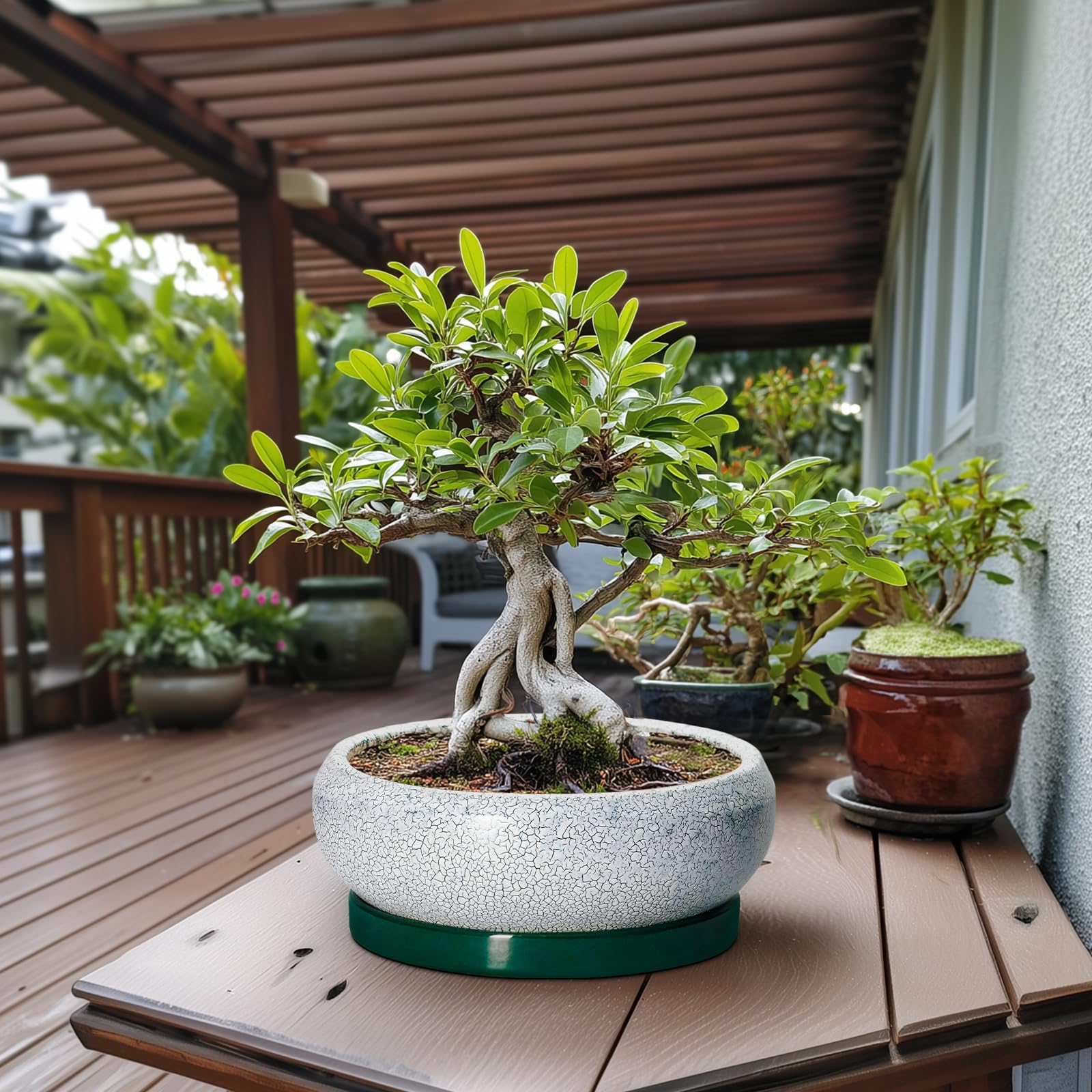 EPFamily 13 Inch ceramic pot with saucer and drainage net