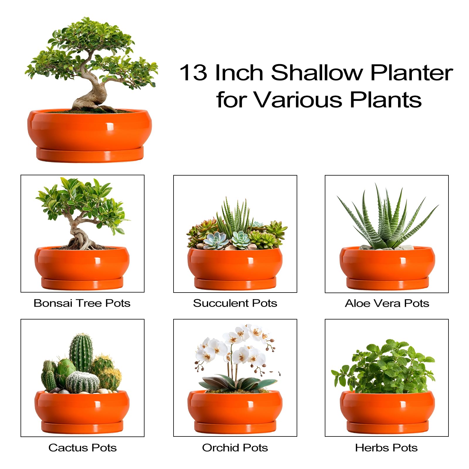 EPFamily 13 Inch planter in a decorative home setting