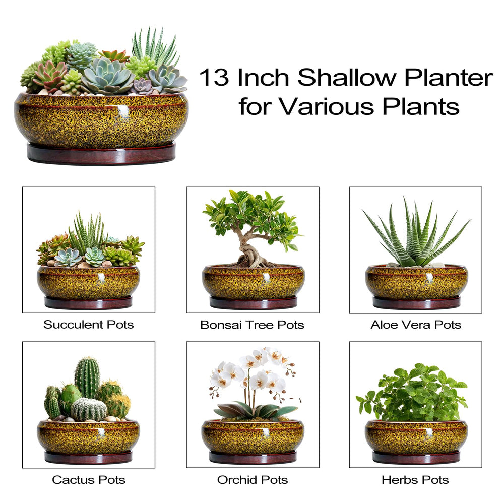 EPFamily 13 Inch Yellow Ceramic Succulent Pot decorative display