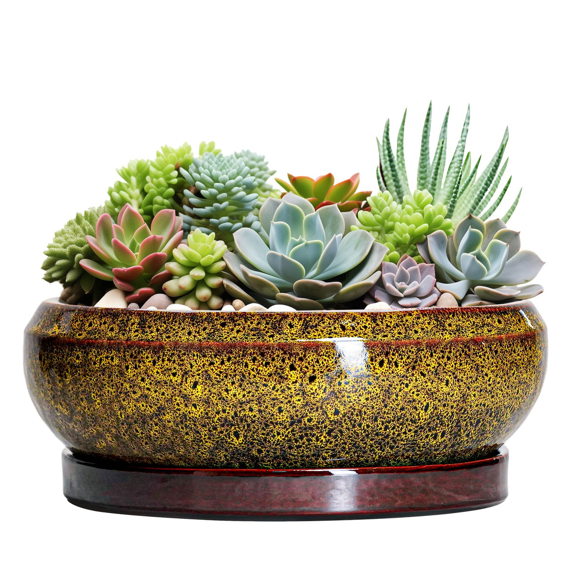 EPFamily 13 Inch Yellow Ceramic Succulent Pot front view