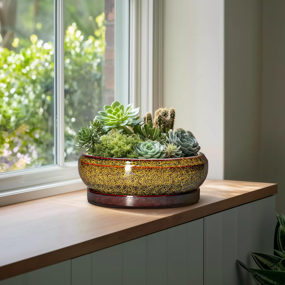 EPFamily 13 Inch Yellow Ceramic Succulent Pot side view