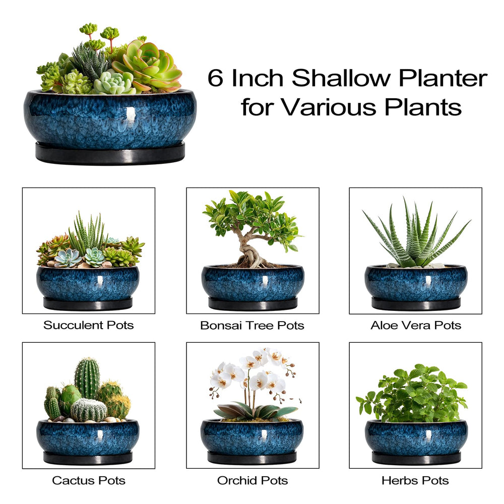 EPFamily 6 Inch Blue Ceramic Succulent Pot in garden setting