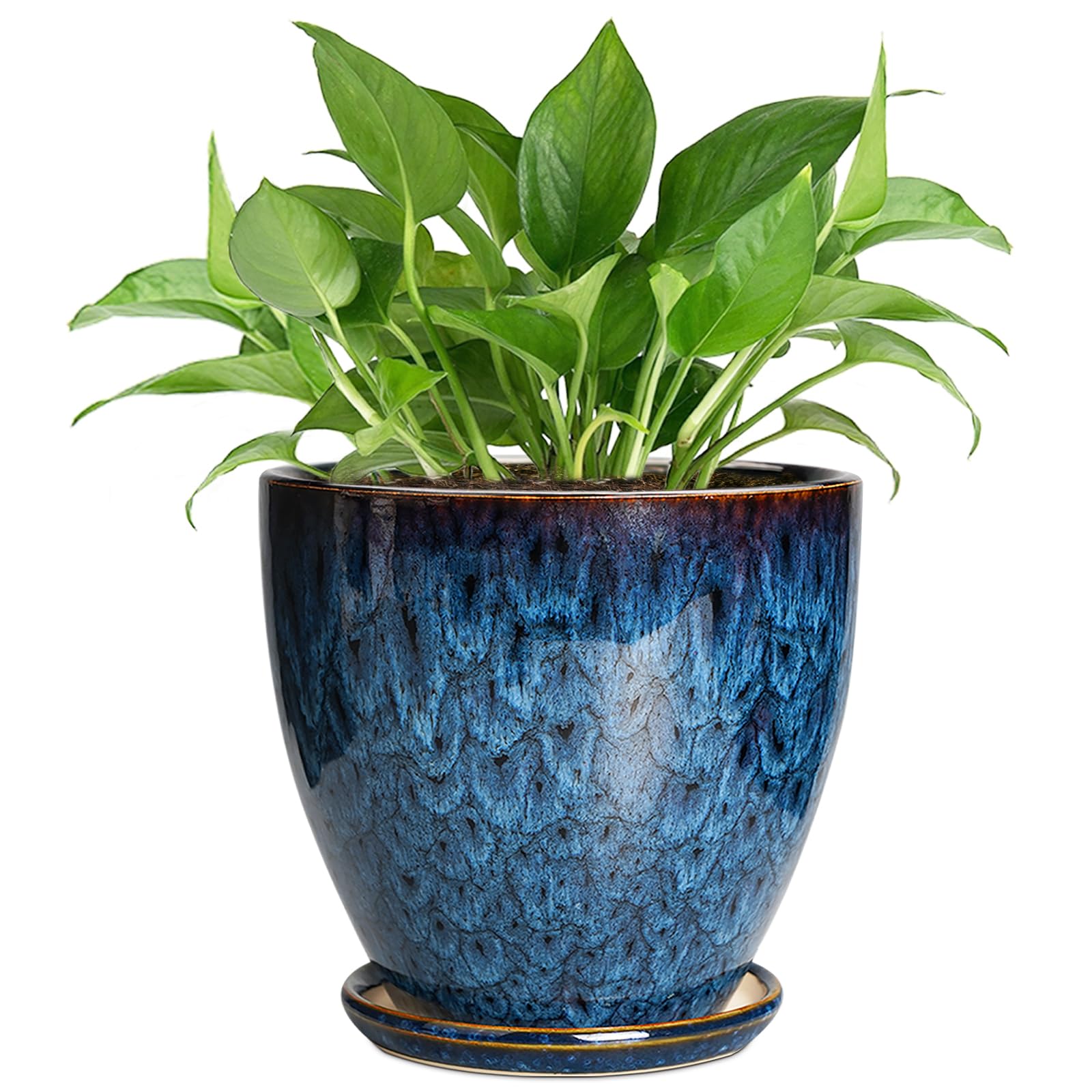 EPFamily 6 Inch Ceramic Plant Pot in blue with saucer