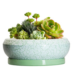 EPFamily 6 Inch ceramic succulent pot front view with matching saucer