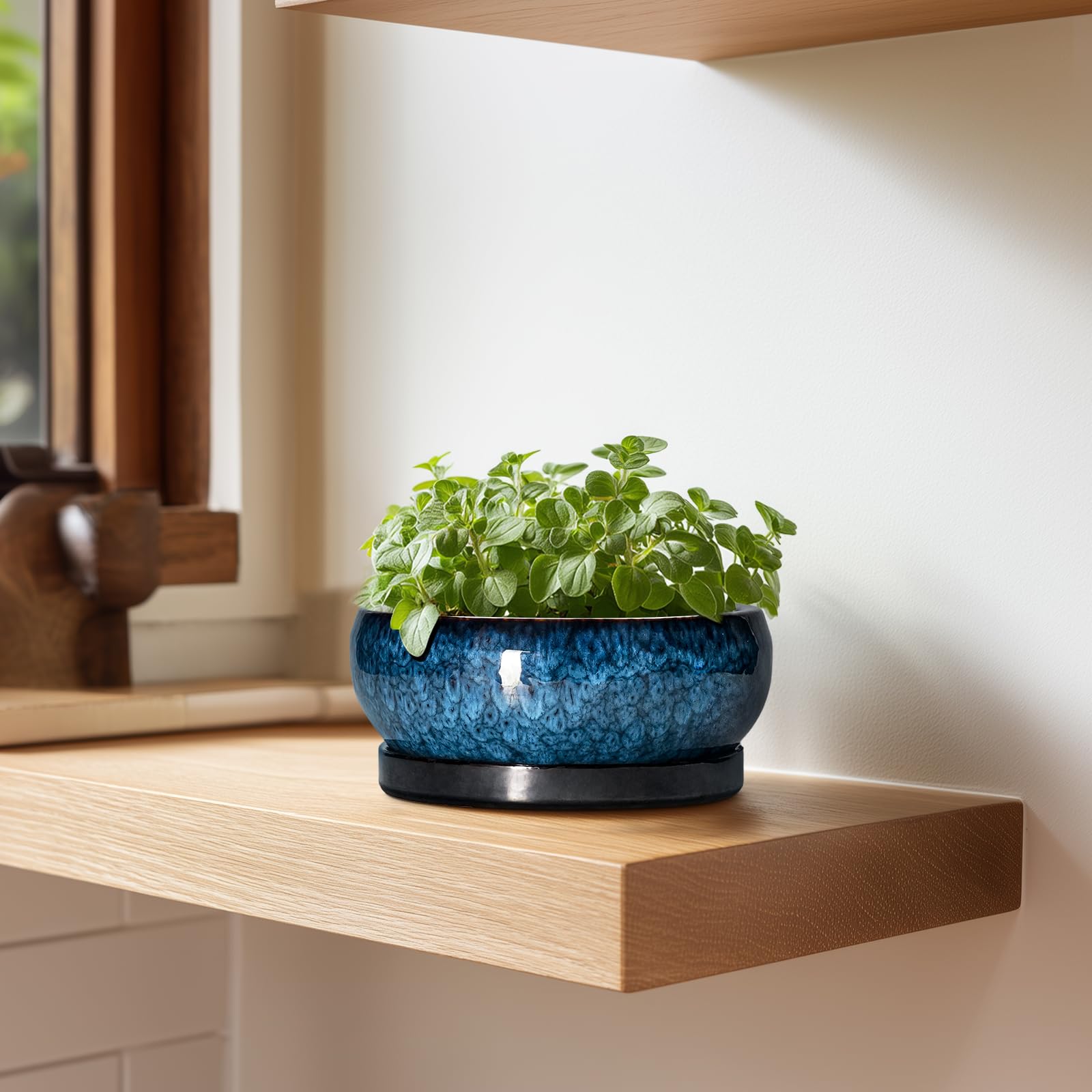 EPFamily 6 Inch Ceramic Succulent Pot on office desk
