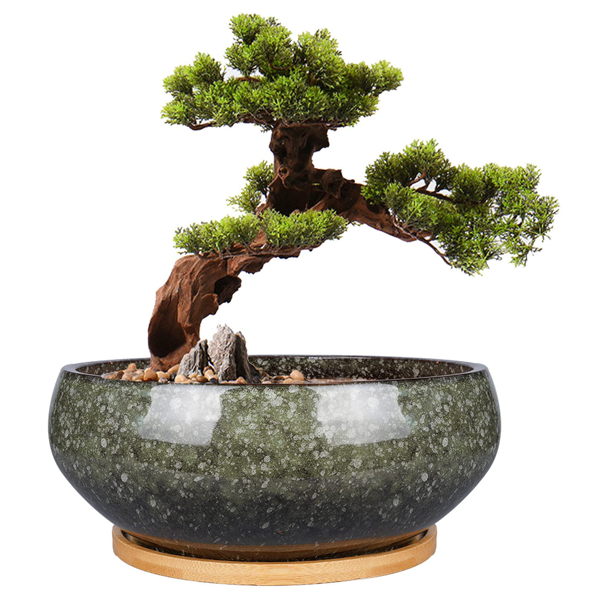 EPFamily 8 Inch Ceramic Bonsai Planter Pot with bamboo saucer, green