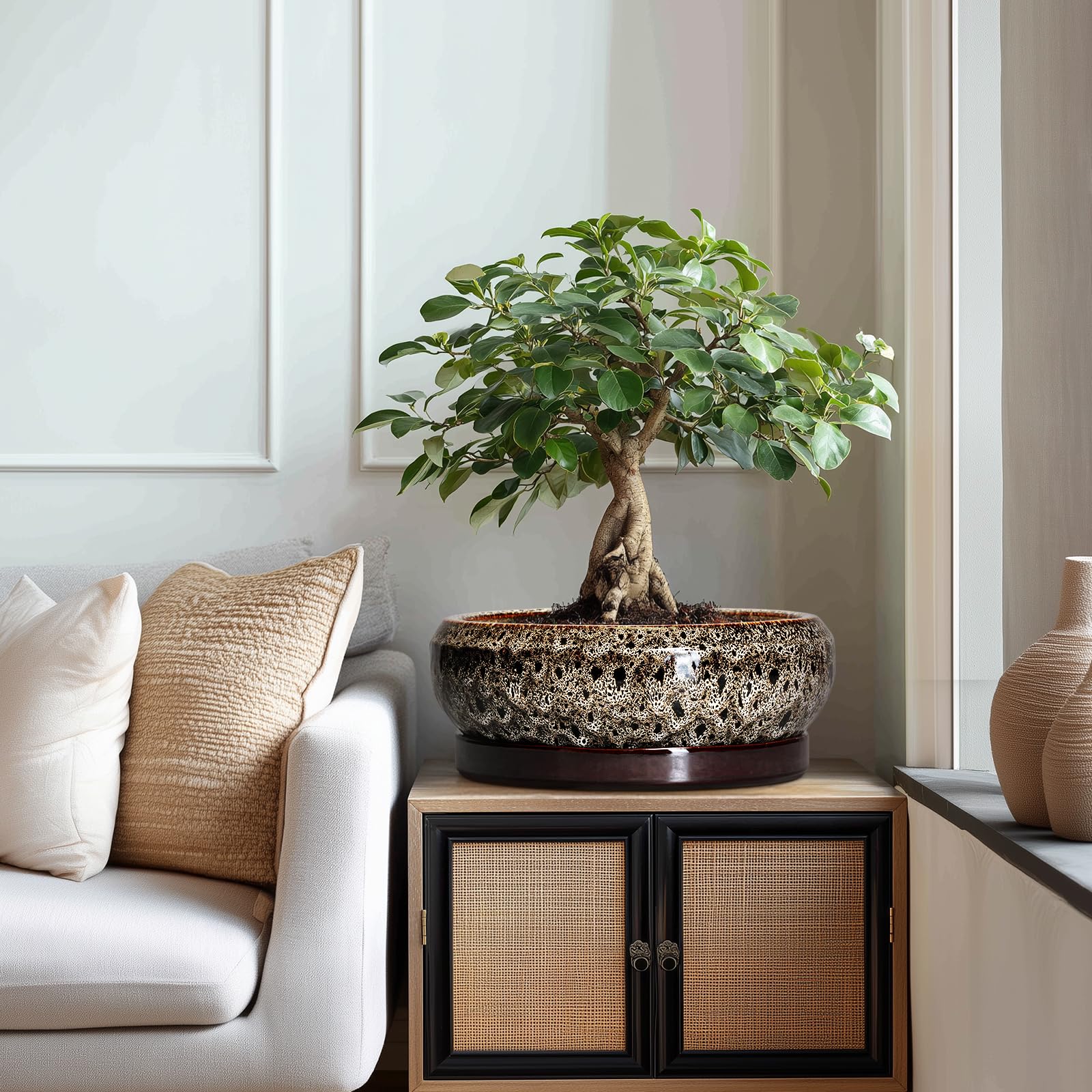 EPFamily Bonsai Planter in a home decor setting