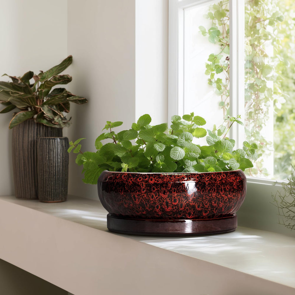 EPFamily Bonsai Pot in garden setting