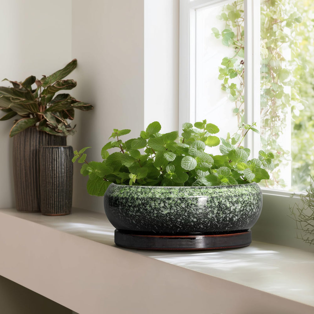 EPFamily bonsai pot on a patio with plants