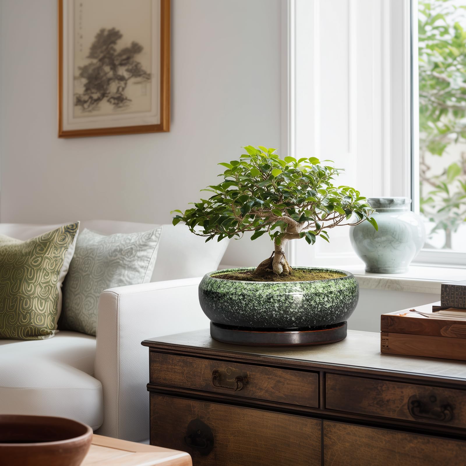 EPFamily bonsai pot placed on a patio table