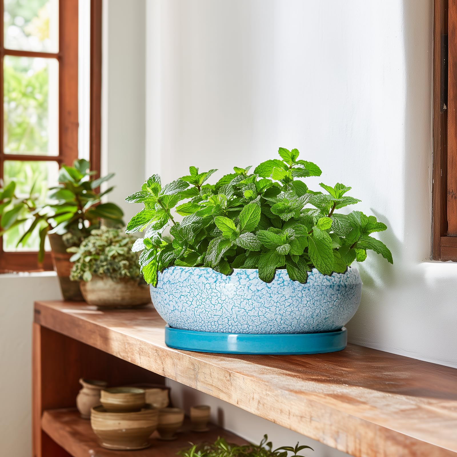 EPFamily Bonsai Pot showcasing glazed finish