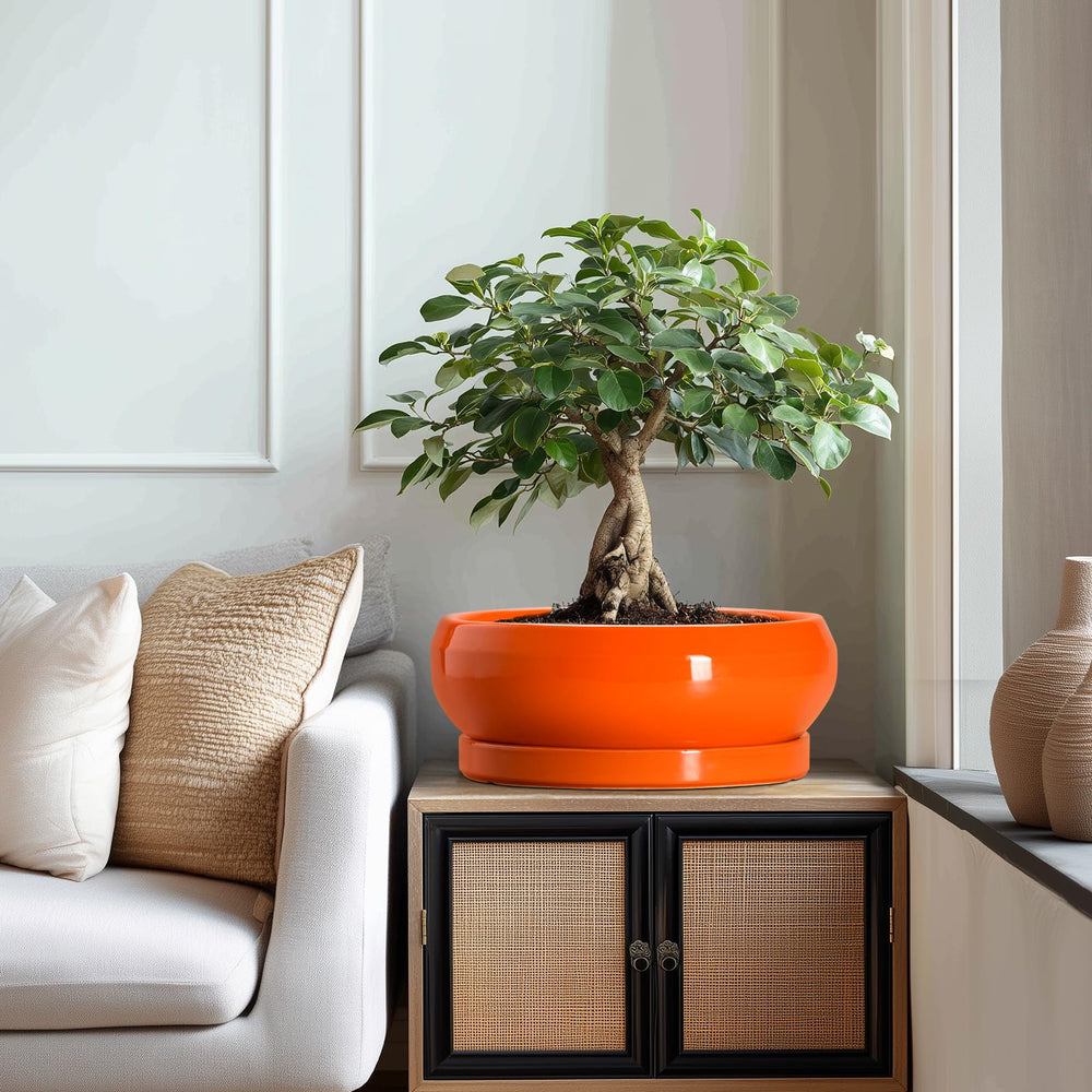 EPFamily ceramic planter showcasing elegant glazed finish