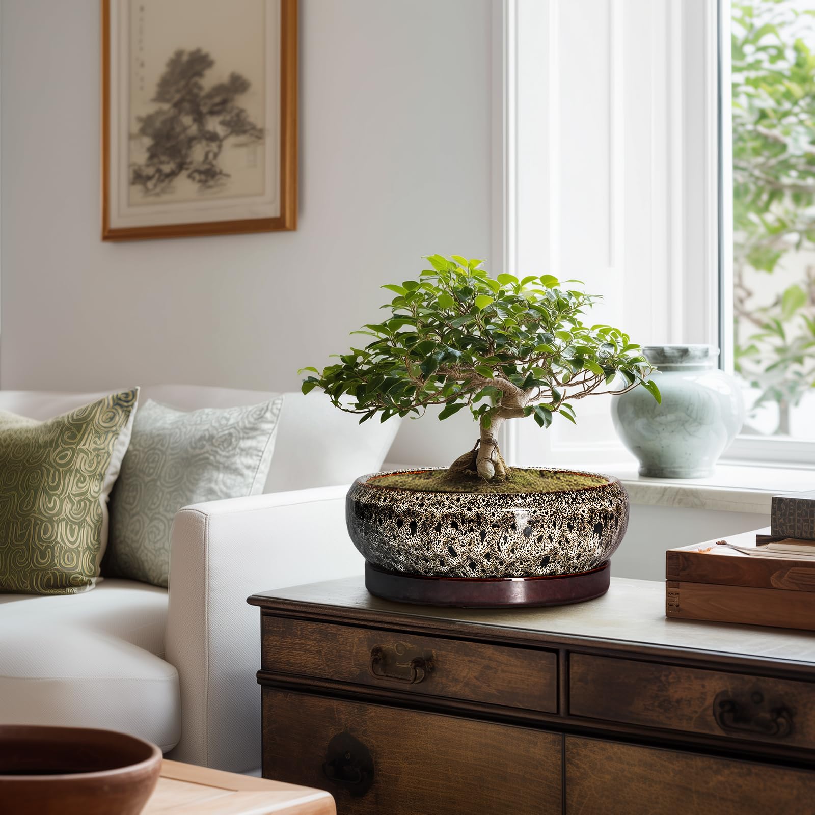 EPFamily ceramic pot with various plants displayed