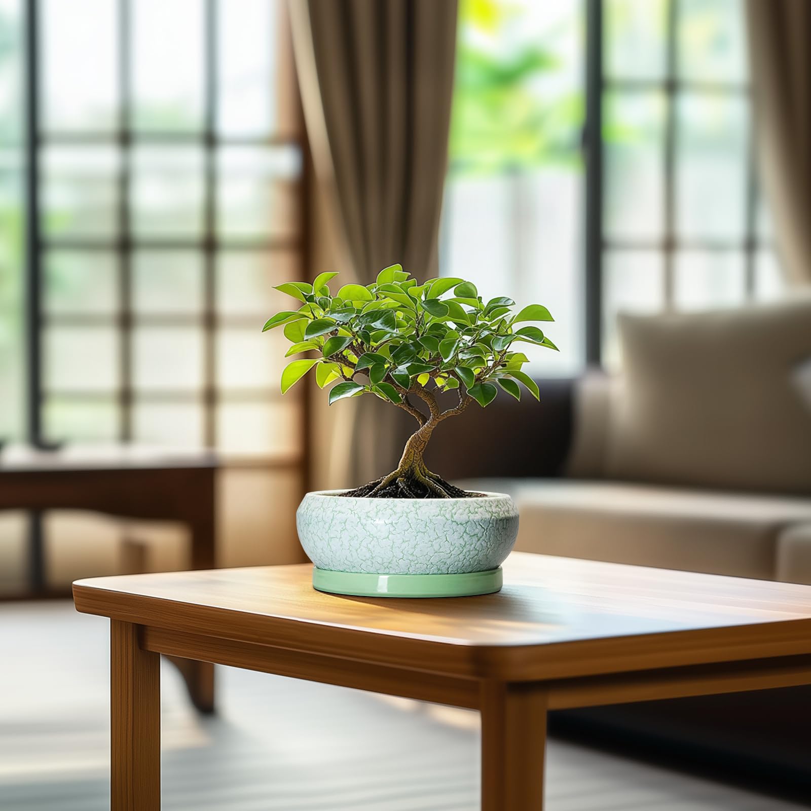 EPFamily ceramic succulent pot in a home decor setting